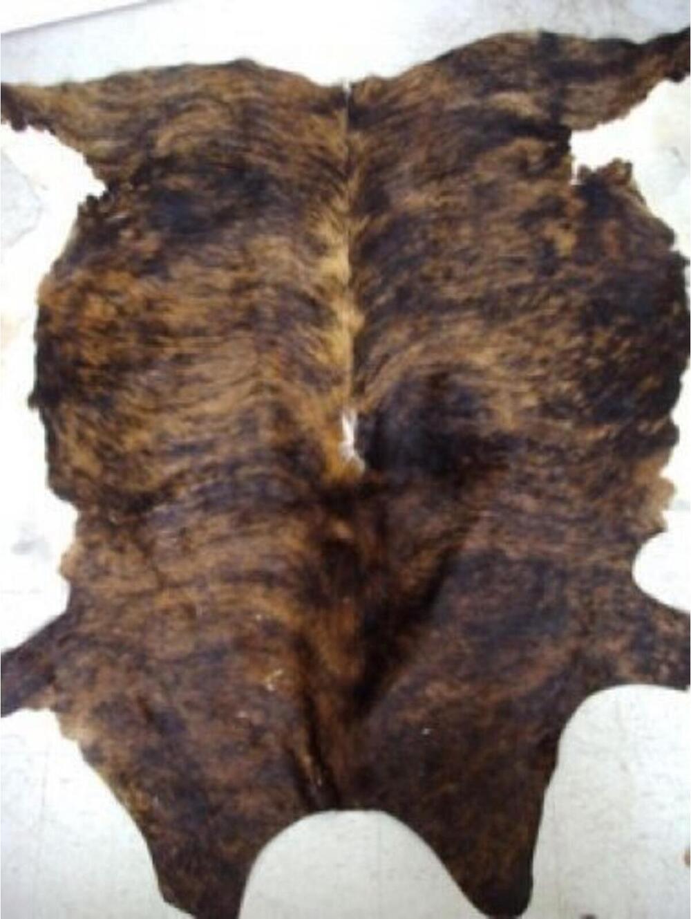 SHOWROOM NEW LARGE AND NATURAL COW HIDE SKIN CARPET BLANKET RUG SIZE 64" X 60"